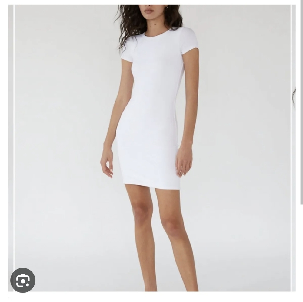 Aritzia Wilfred Free Tiny T-Shirt Dress